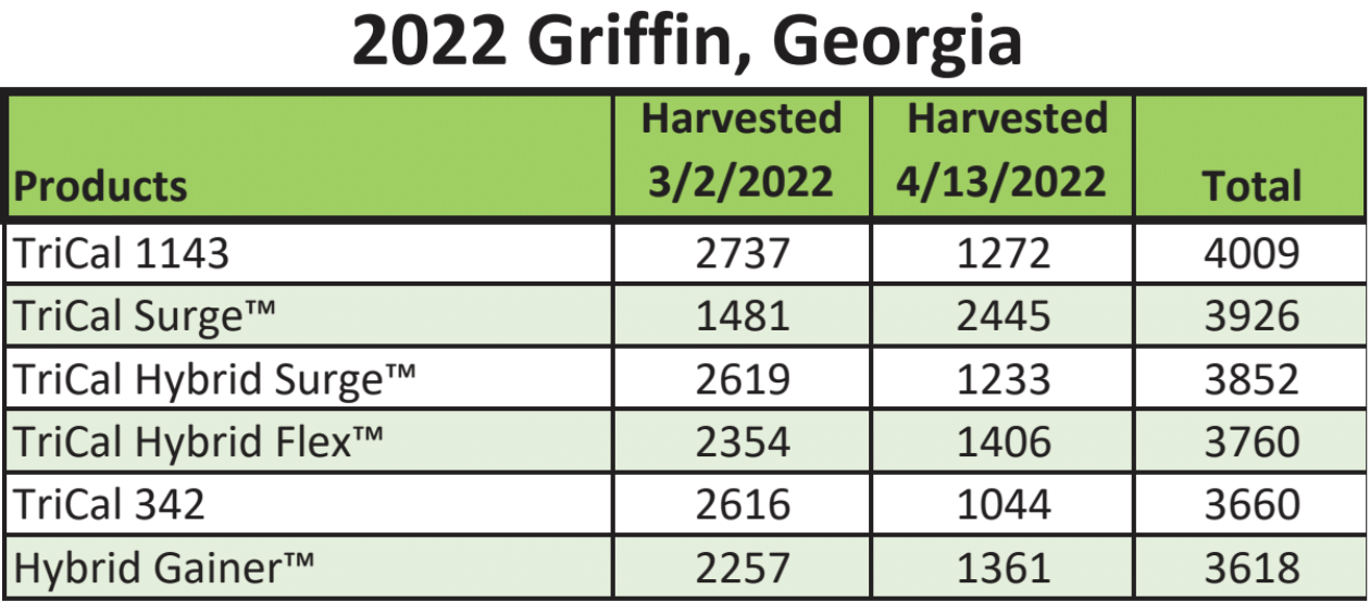 A trial data chart showing 1143 triticale performance in Griffin, Georgia in 2023.